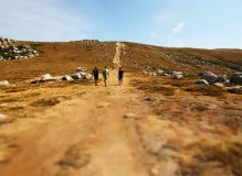 Boost Your Hiking Experience with Foxelli Trekking Poles - Unleash Your Inner Adventurer Today!