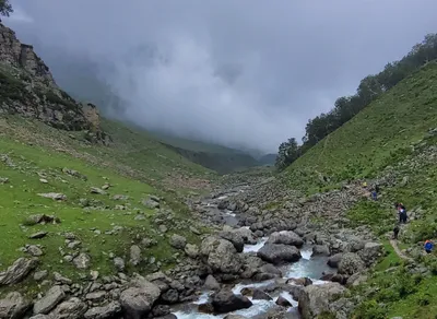 Boost Your Hiking Game with Foxelli Trekking Poles - Unleash Your Inner Adventurer!