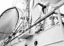 Unlock Your Adventure Potential with TrailBuddy Trekking Poles