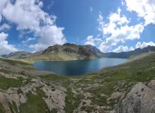 Unleash Your Adventure with Foxelli Trekking Poles - Conquer Every Trail with Confidence!