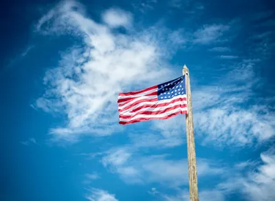 Unleash Your Inner Adventurer with Trailbuddy Trekking Poles - Your Ultimate Hiking Companion