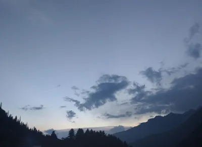 Hiking with Foxelli Trekking Poles: Boost Your Adventure!