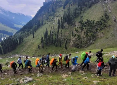 Experience the Ultimate Hiking Adventure with Foxelli Trekking Poles