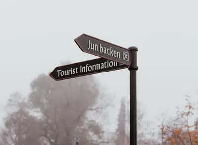 Discover the Ultimate Trekking Pole: Experience the Power of Leki!