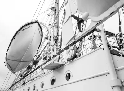 Unlock Your Adventure Potential with TrailBuddy Trekking Poles