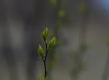 Experience the Breathtaking Trekking in Bhutan: Explore the Majestic Beauty of the Kingdom