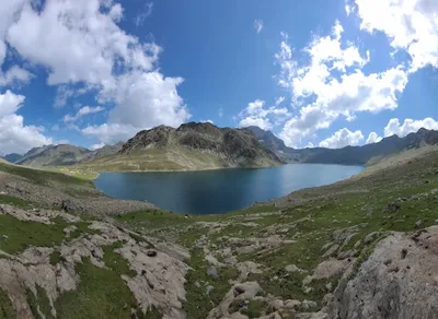 Unleash Your Adventure with Foxelli Trekking Poles - Conquer Every Trail with Confidence!