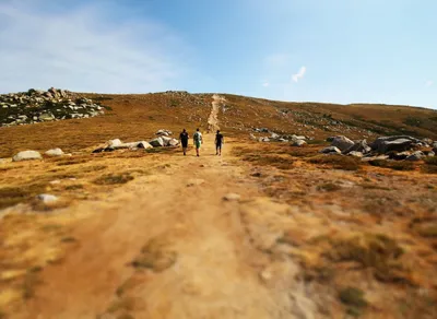 Boost Your Hiking Experience with Foxelli Trekking Poles - Unleash Your Inner Adventurer Today!