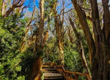 Unleash Your Adventurous Spirit: Trekking the National Parks