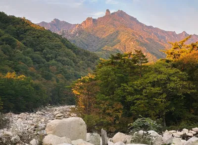 Embark on an Epic Adventure: Trekking the National Parks