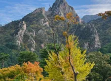 Discover the Ultimate Guide to Trekking National Parks - Uncover Breathtaking Adventures