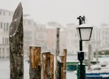 Discover the Ultimate Foxelli Trekking Pole: The Perfect Gear for Outdoor Adventures!