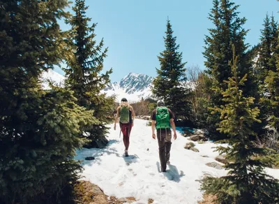 Discover the Ultimate Trekking Pole: Unleash Your Adventure with Leki!