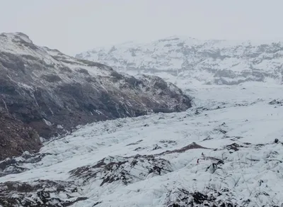 Introducing the Ultimate TrailBuddy Trekking Pole for your Epic Adventures!