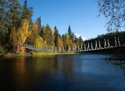 Embark on an Unforgettable National Parks Trekking Adventure!
