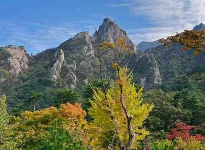 Discover the Ultimate Guide to Trekking National Parks - Uncover Breathtaking Adventures