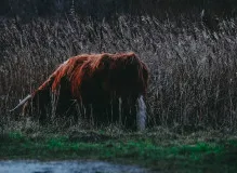 Discover the Ultimate Timberland Field Trekker Adventure!