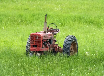 Find Your Perfect Trail Buddy with Trekking Poles - Enhance Your Hiking Experience!